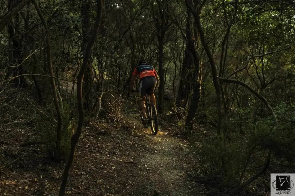 Mountain bike à Ardennes