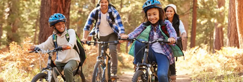 Vente de vélo à Ardennes