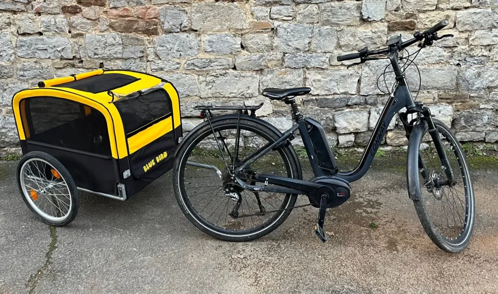 Remorque de vélo